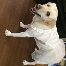 ていさんさんの作品