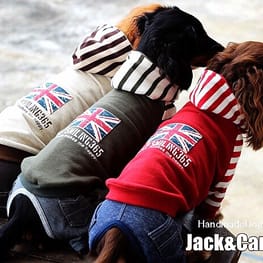 akizoo88さんの作品