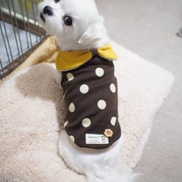 mi_ёさんの作品