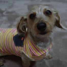 ひなはなさんの作品