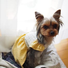 やすべえさんの作品