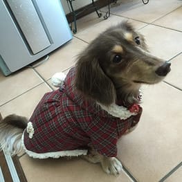 みにくろりんさんの作品