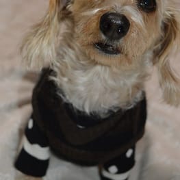 ひなはなさんの作品