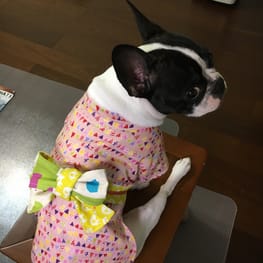 angelin40さんの作品