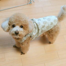 ココママさんの作品