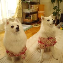 えびすさんの作品