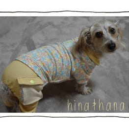 ひなはなさんの作品