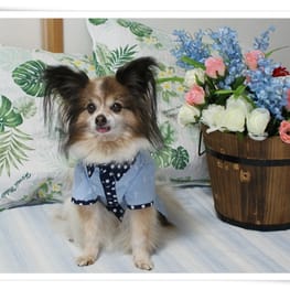 はるさんの作品