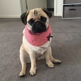 Coconutさんの作品