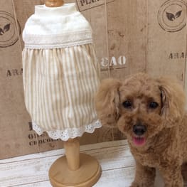 kuuminさんの作品