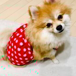 tamaharuさんの作品