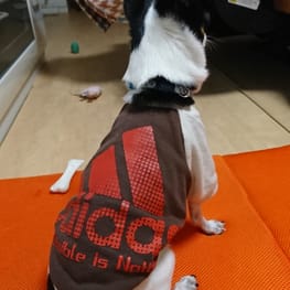 ブーケカラーさんの作品