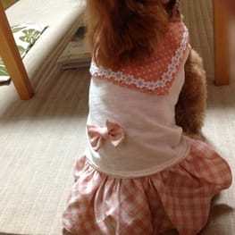 てるひめさんの作品