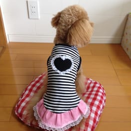 らくすさんの作品