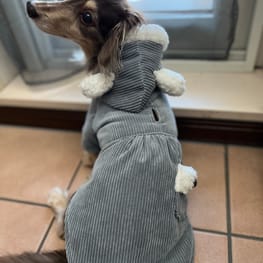 みにくろりんさんの作品