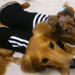 ろわーるさんの作品