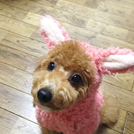 ちゃちゃさんの作品