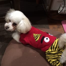 potetoさんの作品