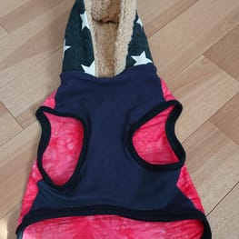 ぱんだ。さんの作品