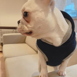 おにくさんの作品