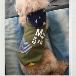 さちさんの作品