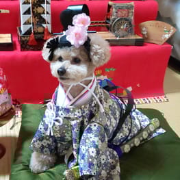 えりんさんの作品