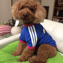 mochamamaさんの作品