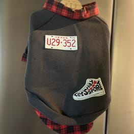 バッシーさんの作品