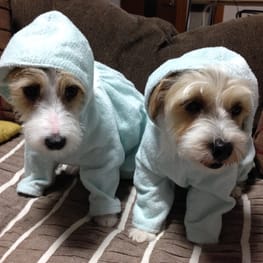 randymikioさんの作品