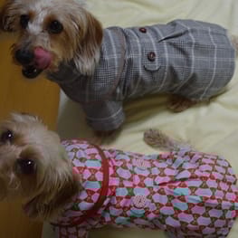 ひなはなさんの作品