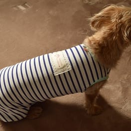 ひなはなさんの作品