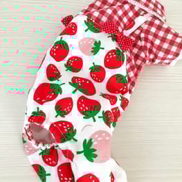 ちゃちゃさんの作品