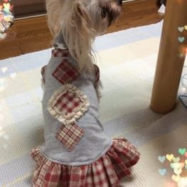 か〜ちゃさんの作品