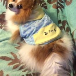 feelgoodさんの作品