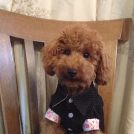 カペルさんの作品