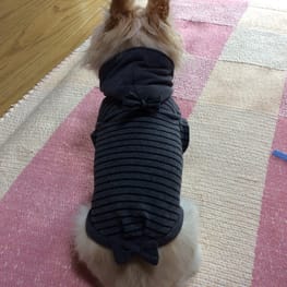 ちゃん凛さんの作品