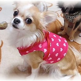 Heartilyさんの作品