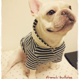 akizoo88さんの作品