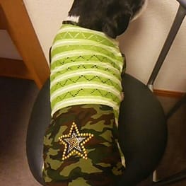 らくすさんの作品