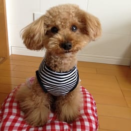 らくすさんの作品