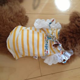 カペルさんの作品