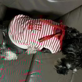 かんれいさんの作品