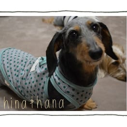 ひなはなさんの作品