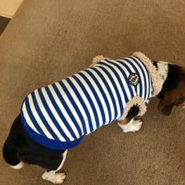 sarryさんの作品