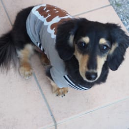 うらんさんの作品