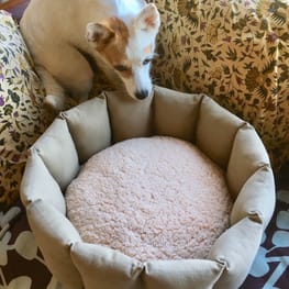 海うさぎさんの作品