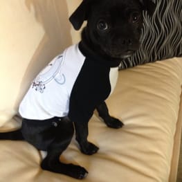 Princessmiyaさんの作品