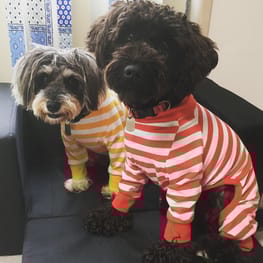 maytenさんの作品