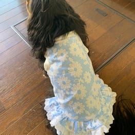 あっちゃんさんの作品