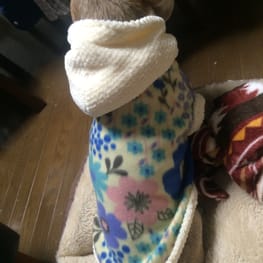 ベルさんの作品